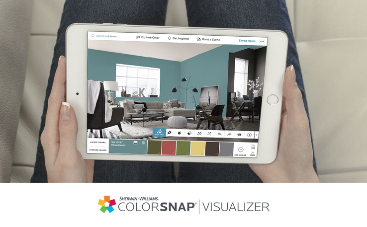 ColorSnap Visualizer